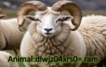 Animal:dlwjz04xrs0= ram